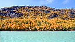IMG_2770.JPG