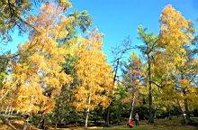 IMG_2813.JPG