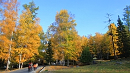 IMG_2815.JPG