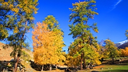 IMG_2823.JPG