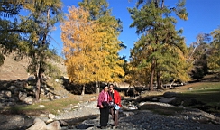 IMG_2826.JPG