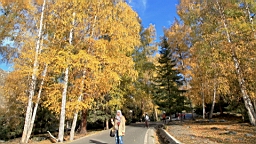 IMG_2839.JPG