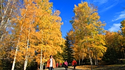 IMG_2841.JPG