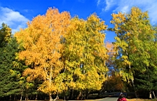 IMG_2847.JPG