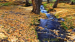 IMG_2849.JPG