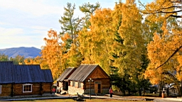 IMG_2860.JPG