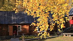 IMG_2861.JPG