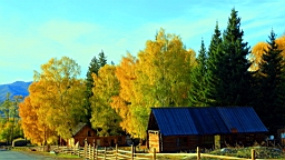 IMG_2869.JPG