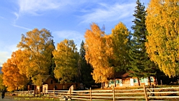 IMG_2870.JPG