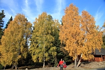 IMG_2873.JPG