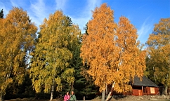 IMG_2874.JPG