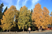 IMG_2876.JPG