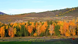 IMG_2893.JPG