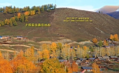 IMG_2896.JPG