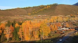 IMG_2907.JPG