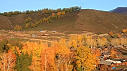 IMG_2921.JPG