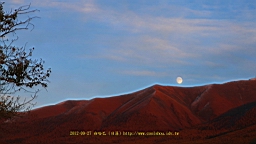 IMG_2959.JPG