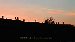 IMG_2961.JPG