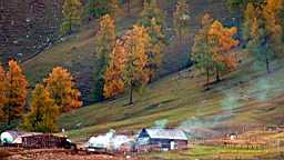 DSC00140.JPG