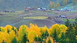 DSC00142.JPG