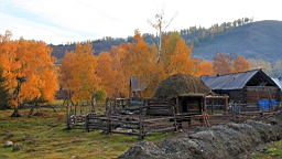 IMG_2990.JPG