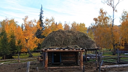 IMG_2995.JPG