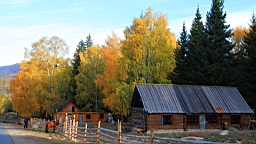 IMG_3003.JPG
