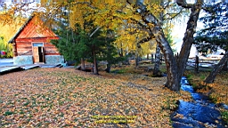 IMG_3004.JPG