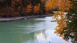 IMG_3110.JPG