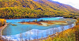 IMG_3162M.JPG
