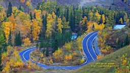 IMG_3181.JPG