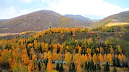 IMG_3182.JPG