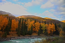 IMG_3185.JPG