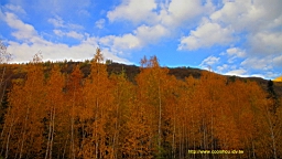 IMG_3186.JPG