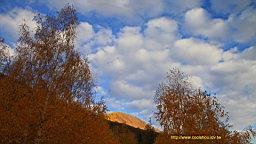 IMG_3190.JPG