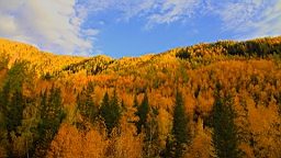 IMG_3203.JPG