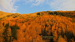 IMG_3204.JPG