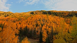 IMG_3205.JPG