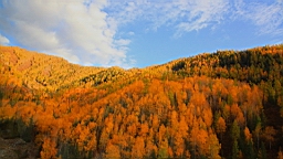 IMG_3207.JPG