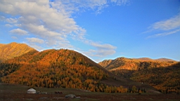 IMG_3217.JPG