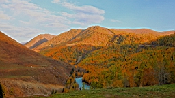 IMG_3223.JPG