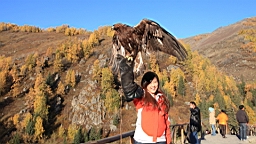 IMG_3241.JPG