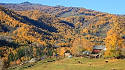 IMG_3261.JPG