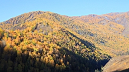 IMG_3268.JPG