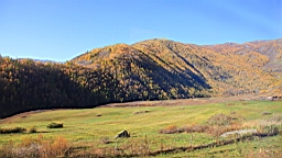 IMG_3272.JPG