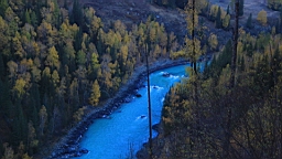 IMG_3276.JPG