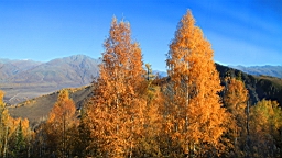 IMG_3282.JPG