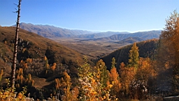 IMG_3283.JPG