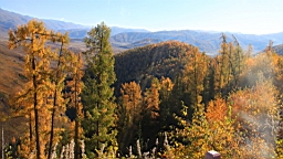 IMG_3284.JPG