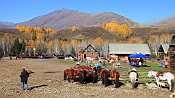 IMG_3310.JPG
